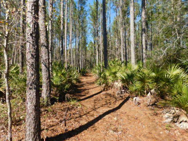 Rocky Creek Rd - Photo 1