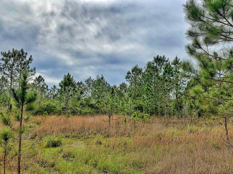 Campbell Rd - Photo 1