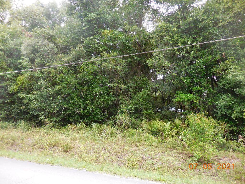 808th St - Photo 1