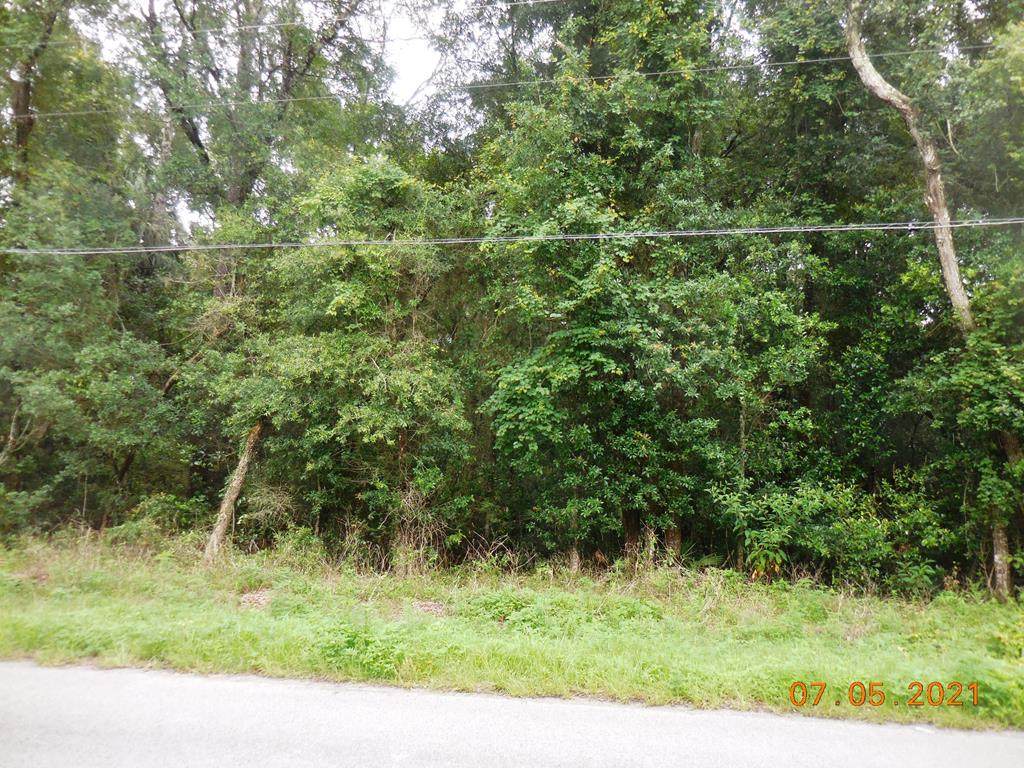 166th St - Photo 1