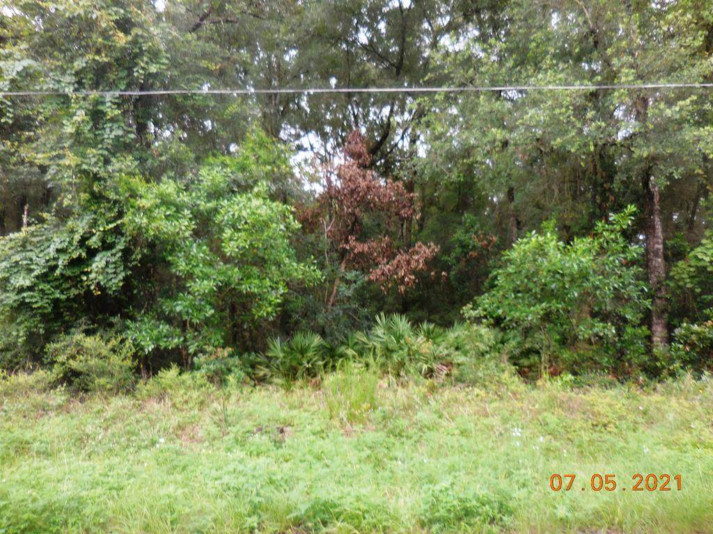 166th St - Photo 1