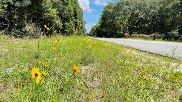 Lot 3-4 87th Ct - Photo 1