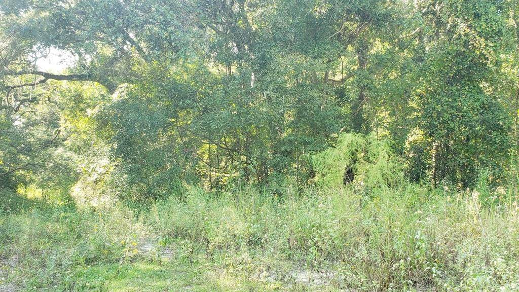 Lot 127 829th St - Photo 1