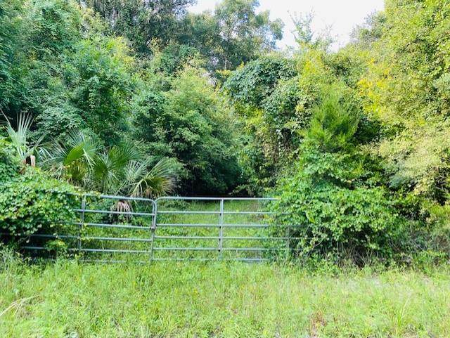 781 173rd Ave - Photo 1