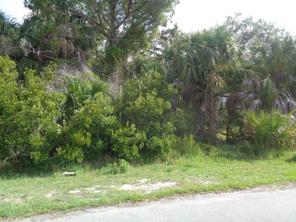 Paroda Ave - Photo 1