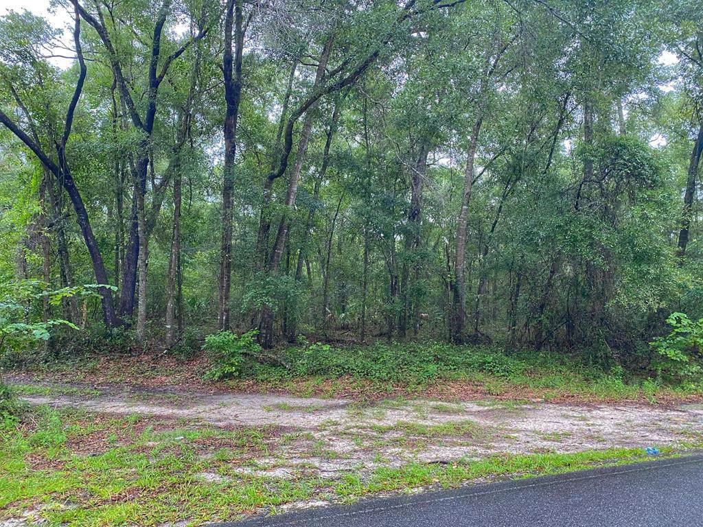 Lot 21 Florida St - Photo 1