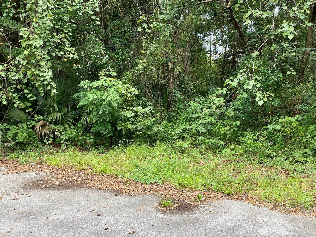 LOT 16 16th Ave - Photo 1