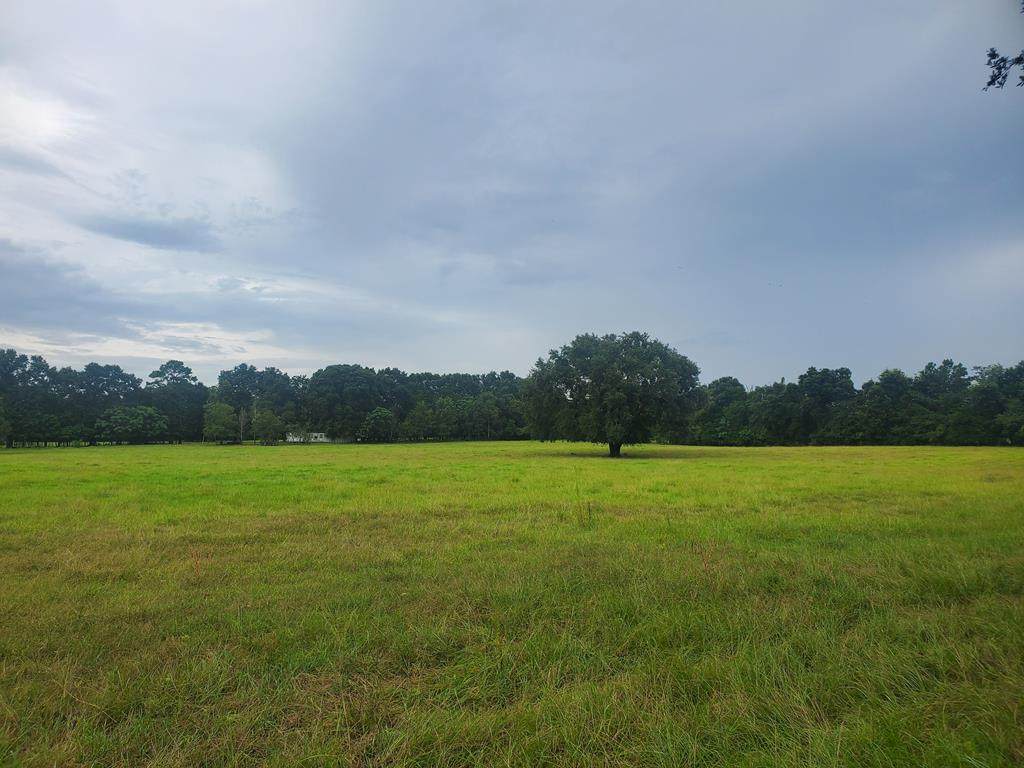 7619 County Road 344 - Photo 1