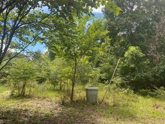 9429 Holly Rd - Photo 1