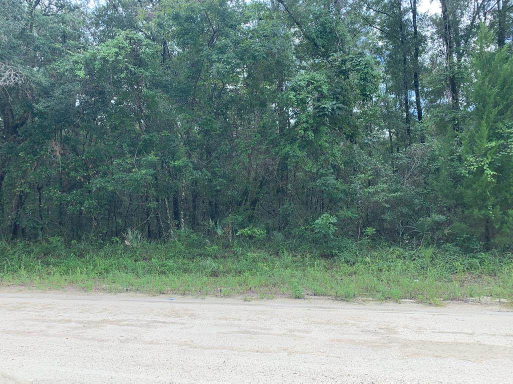 212th Ave - Photo 1