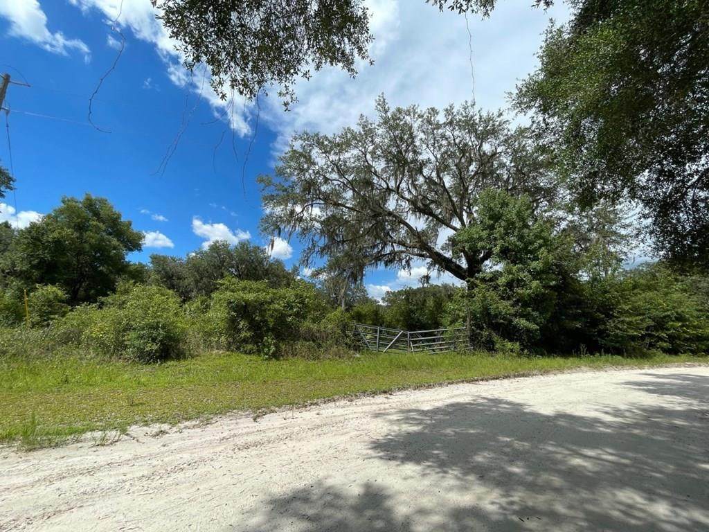 TBD 165th St - Photo 1