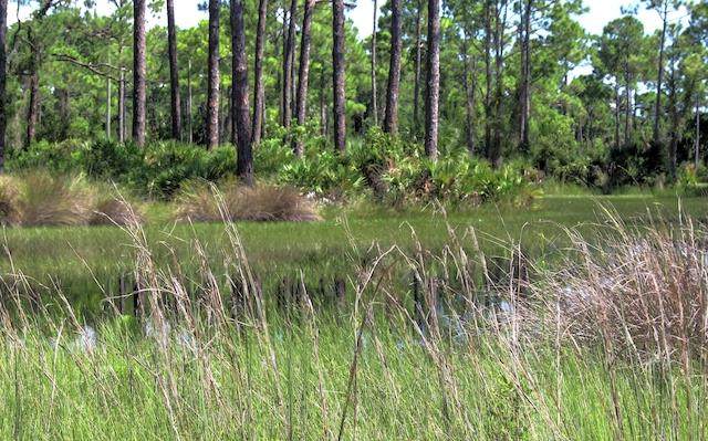 Lot 85 100th Pl - Photo 1