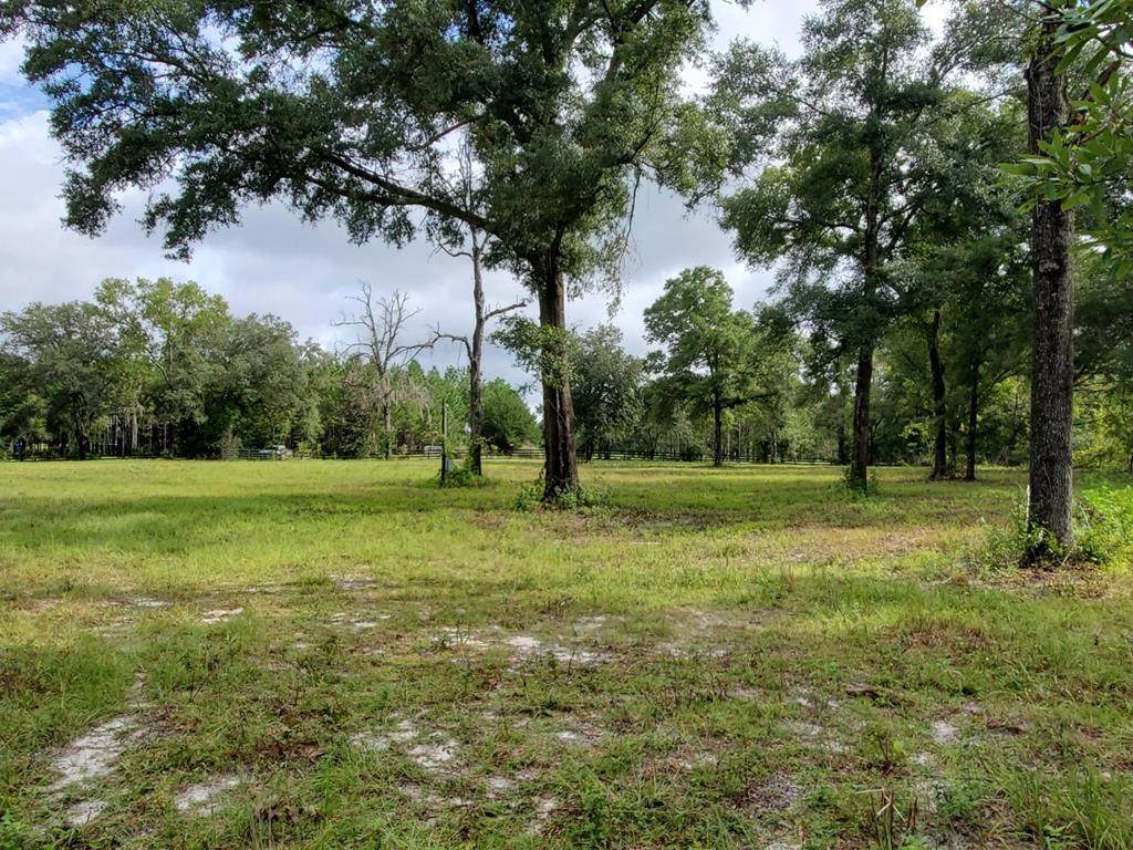 1149 County Road 138 - Photo 1