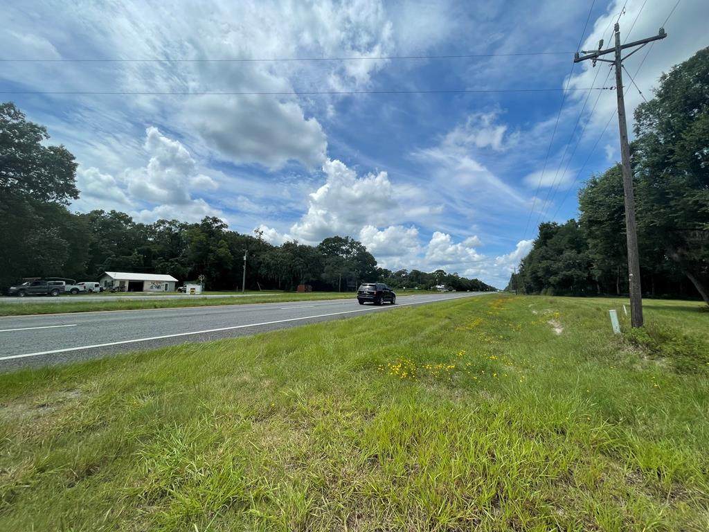 15681 Us Hwy 19 - Photo 1