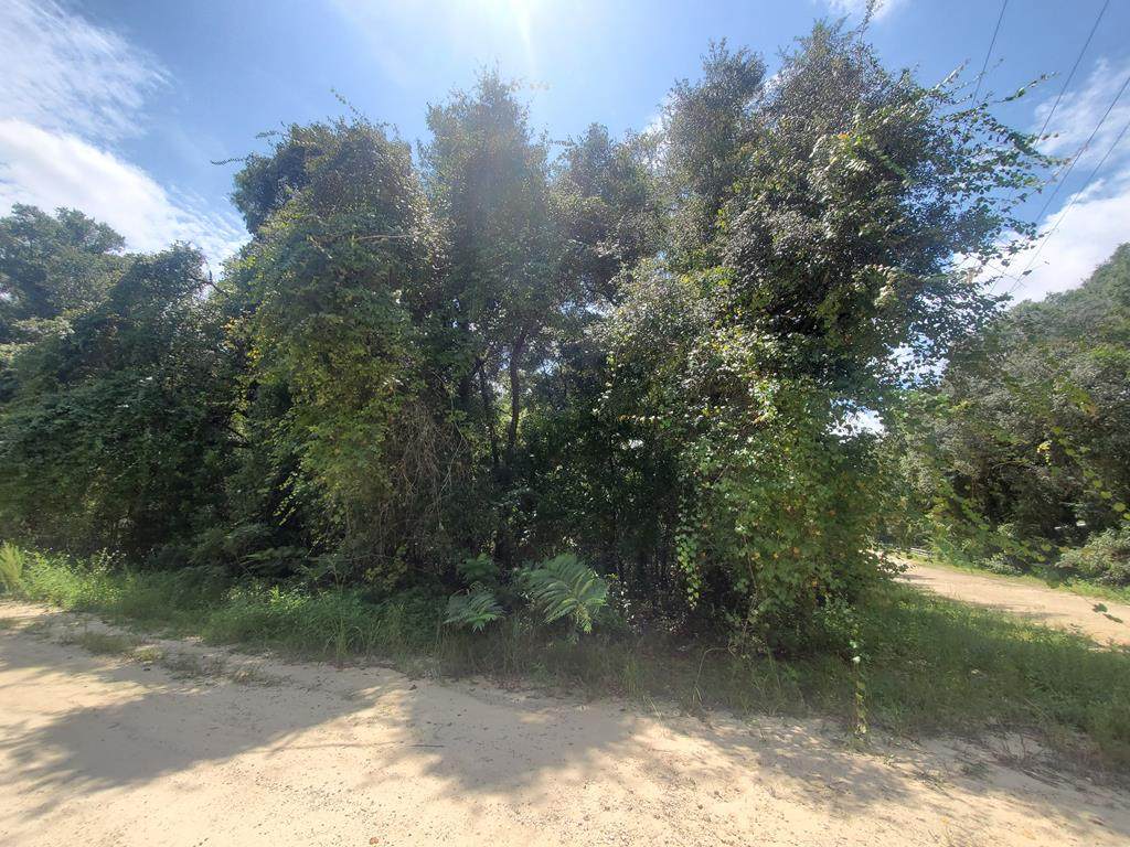 76th Ter - Photo 1
