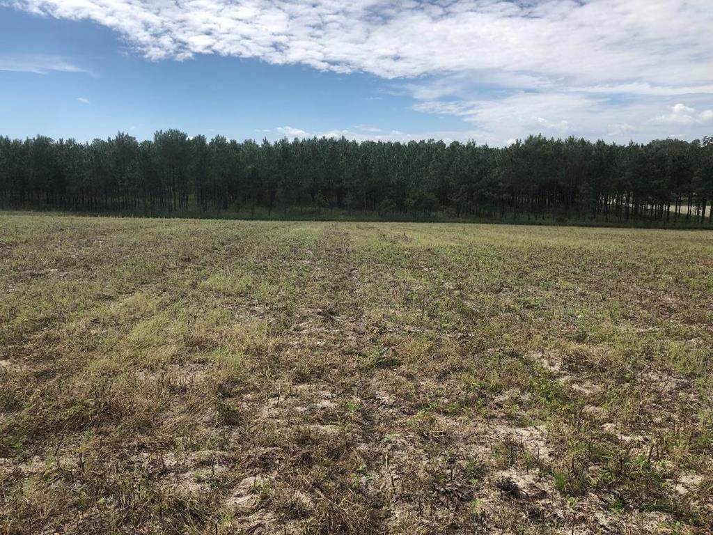LOT 5 72nd Pl - Photo 1