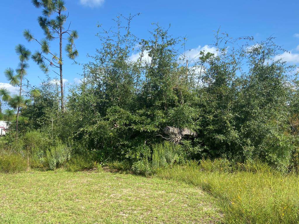 00 Morganville Rd - Photo 1