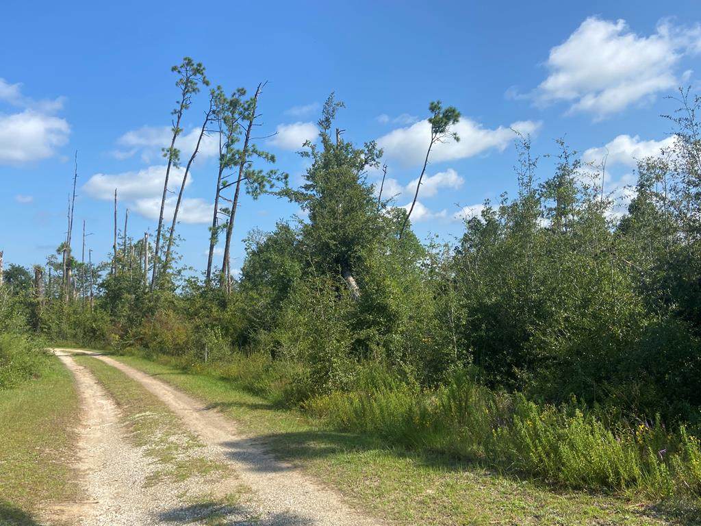 Morganville Rd - Photo 1