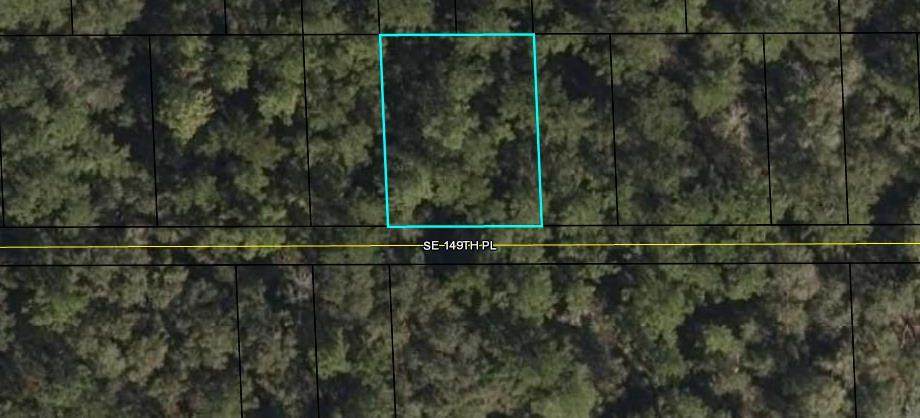 TBD 149th Pl - Photo 1