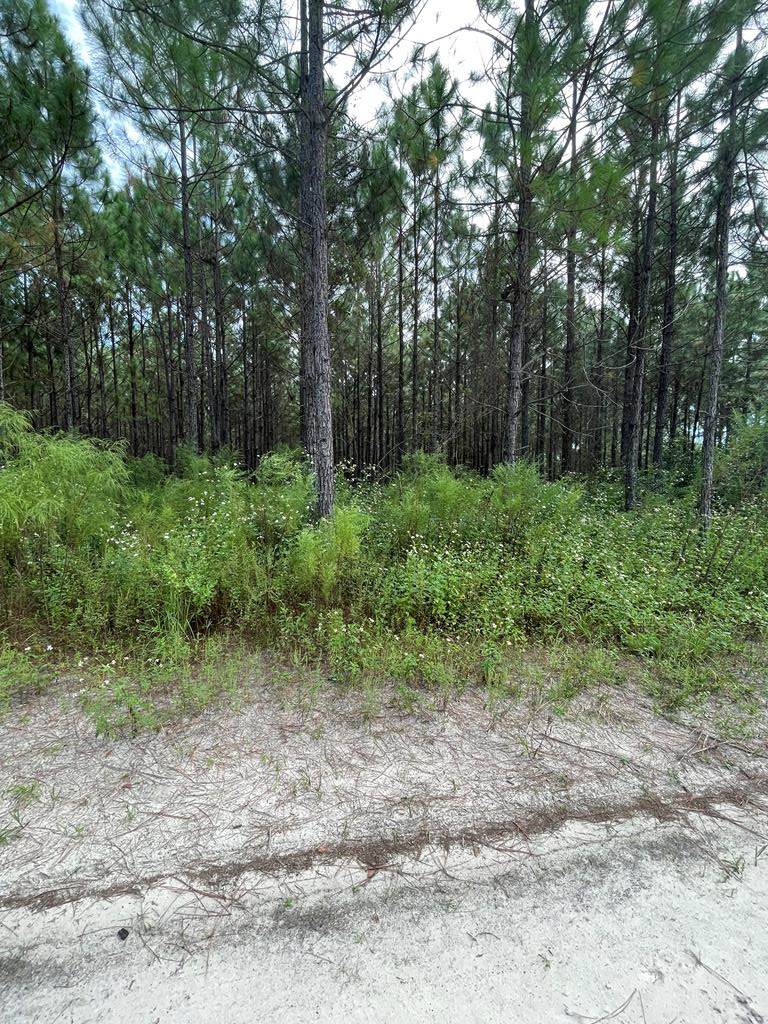 Cephas Liston Rd - Photo 1