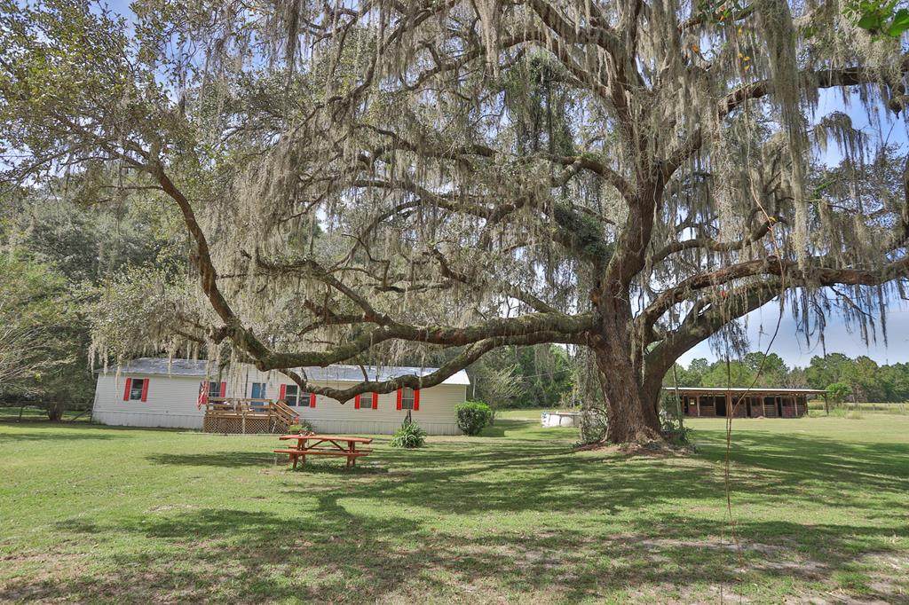27717 Newberry Rd - Photo 1