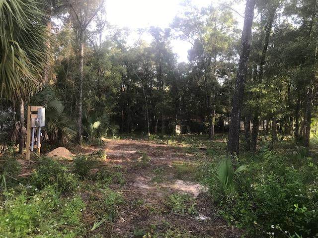 1005 Hwy 51 - Photo 1