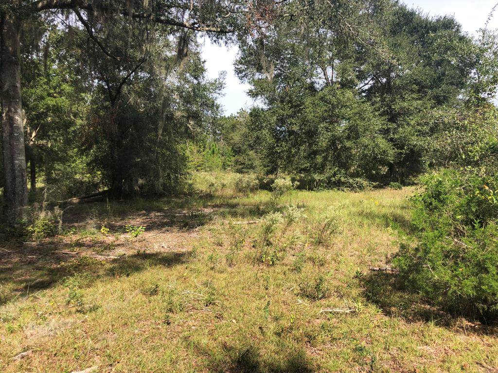 Tract 6 73rd Ter - Photo 1