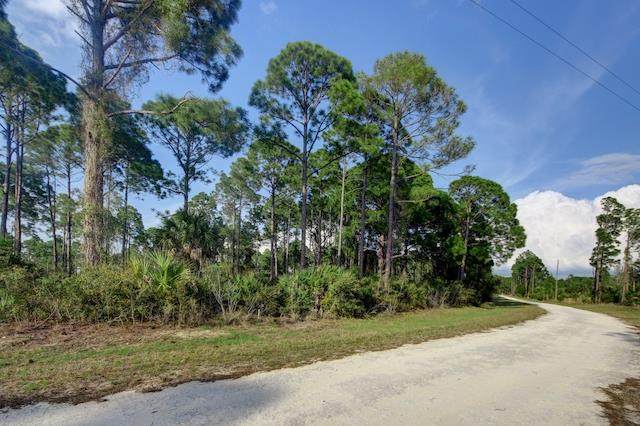 Lot 78 101st Ln - Photo 1