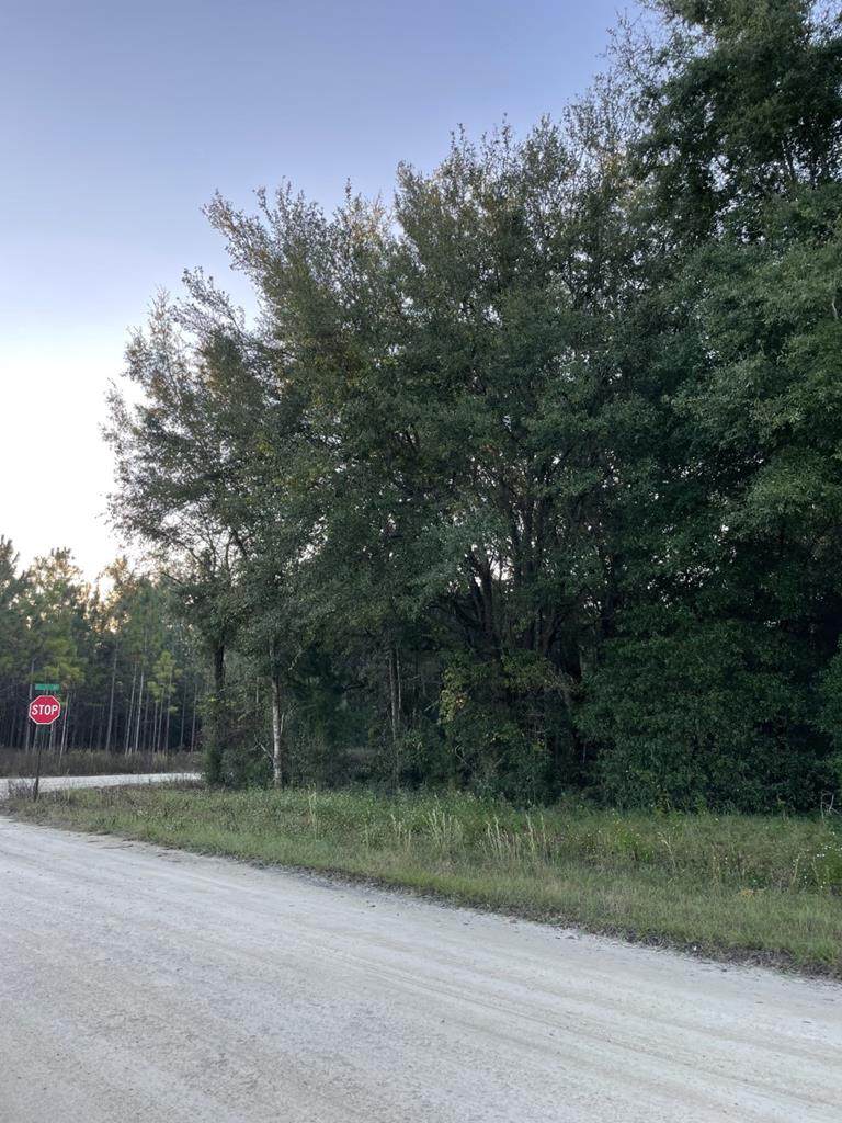 Lot 1 10th Ave - Photo 1
