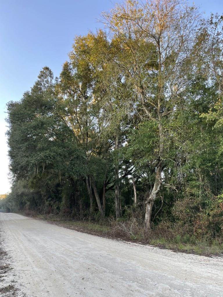 Lot 2 10th Ave - Photo 1