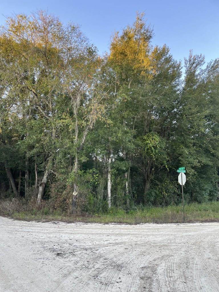 Lot 1-2 10th Ave - Photo 1