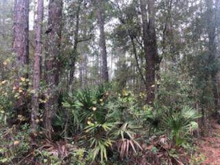 Us Hwy 301 - Photo 1