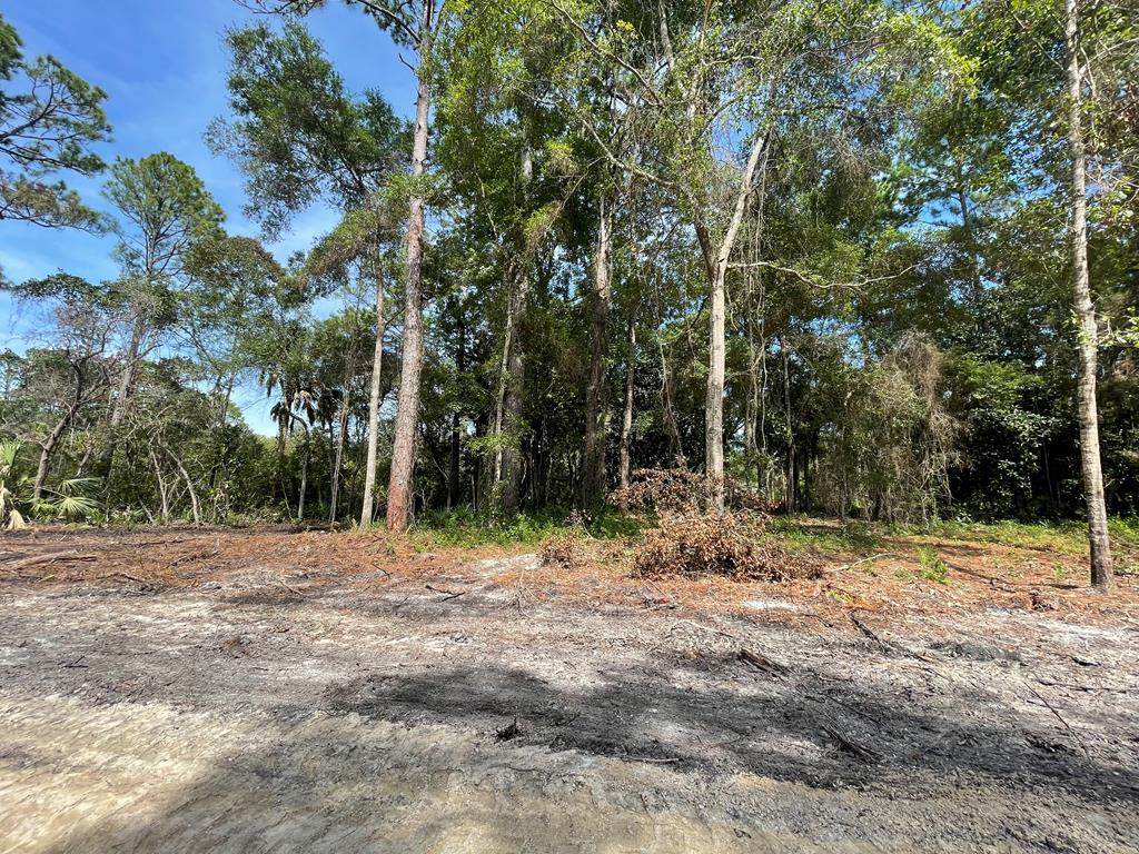 Lot 15 Fifth Ave - Photo 1