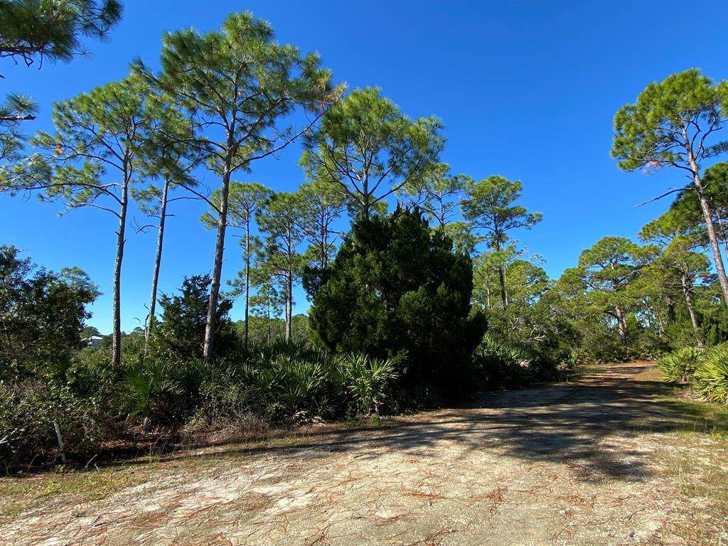 Lot 31 Museum Dr Easement - Photo 1
