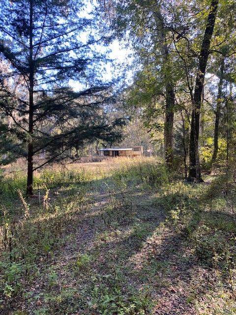989 348th Ave - Photo 1