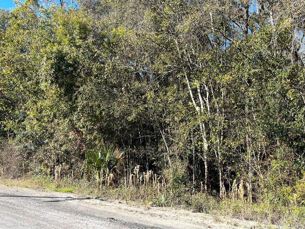 LOT 29 82nd Ave - Photo 1