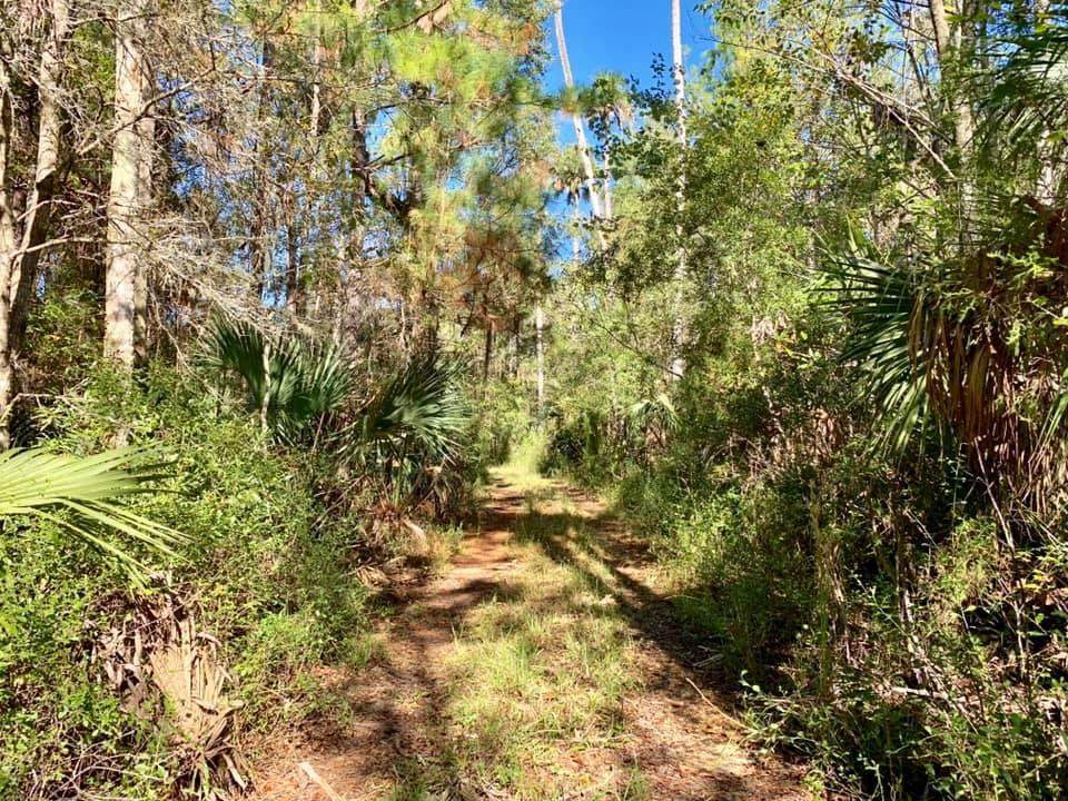 00 County Road 326 - Photo 1