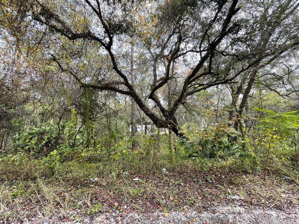 69th Ter - Photo 1