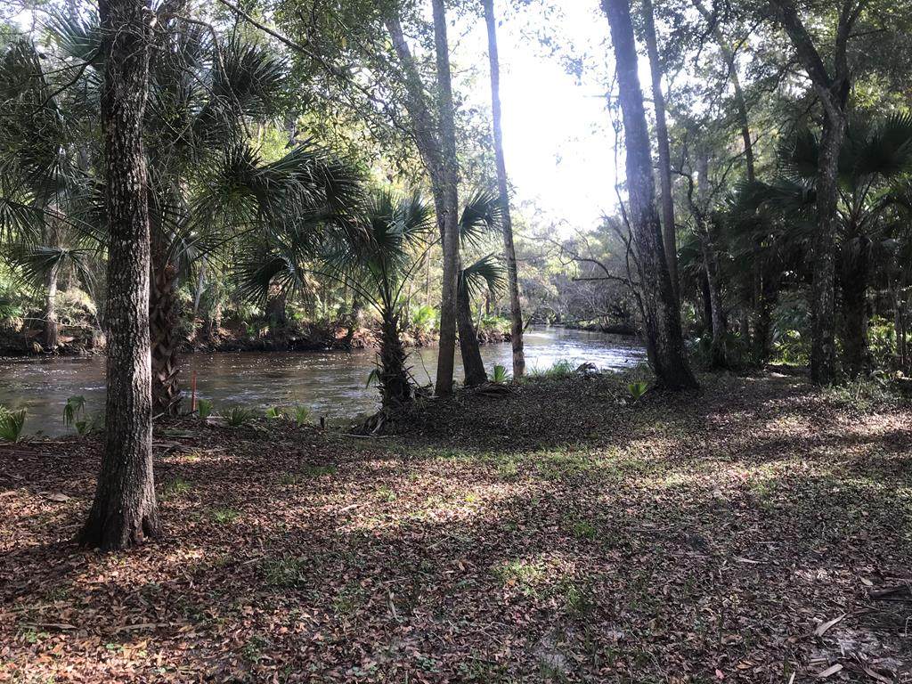1528 Palm St - Photo 1