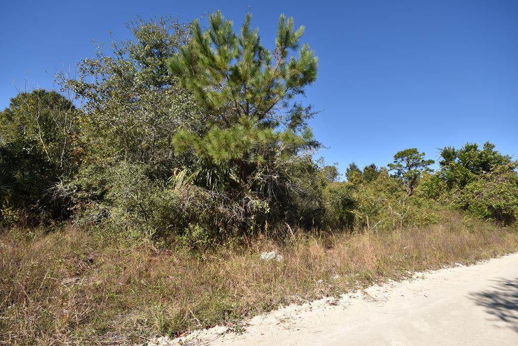 156th St - Photo 1