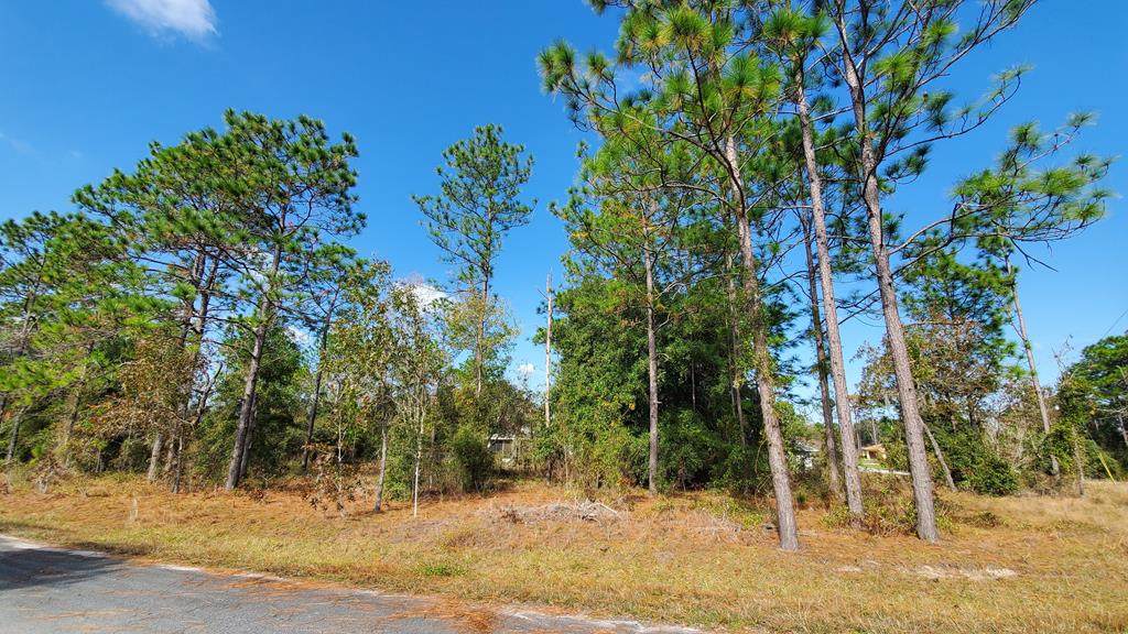 Lot 10 Country Club Dr - Photo 1