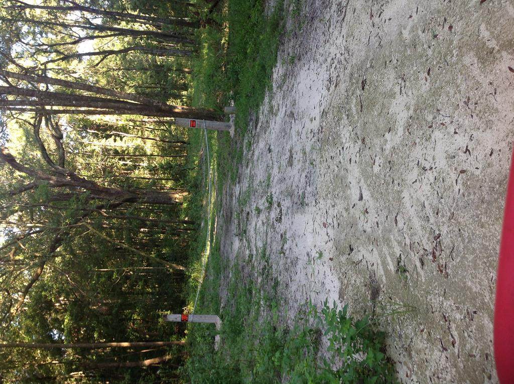603 250th Ave - Photo 1