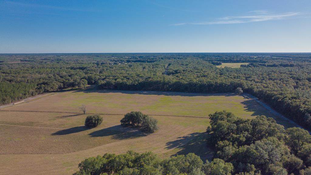 1499 18th Way - Photo 1