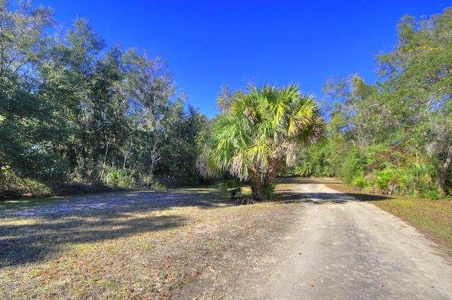 Lot 27 102nd Ct - Photo 1