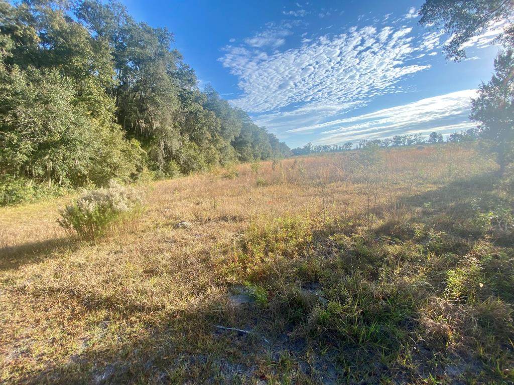 20 Acres 10th Ave - Photo 1
