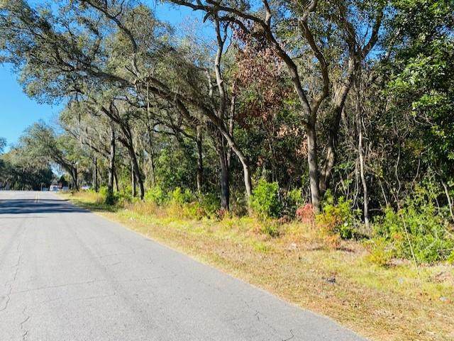 Hwy 19 - Photo 1