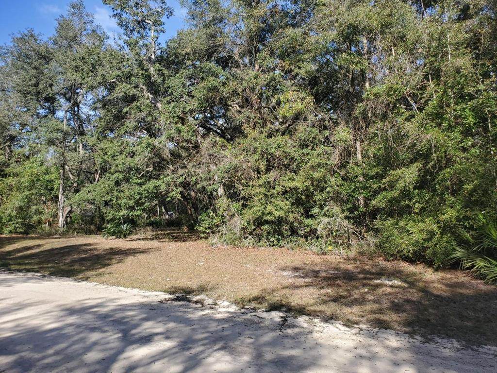 Lot 5 156th St - Photo 1