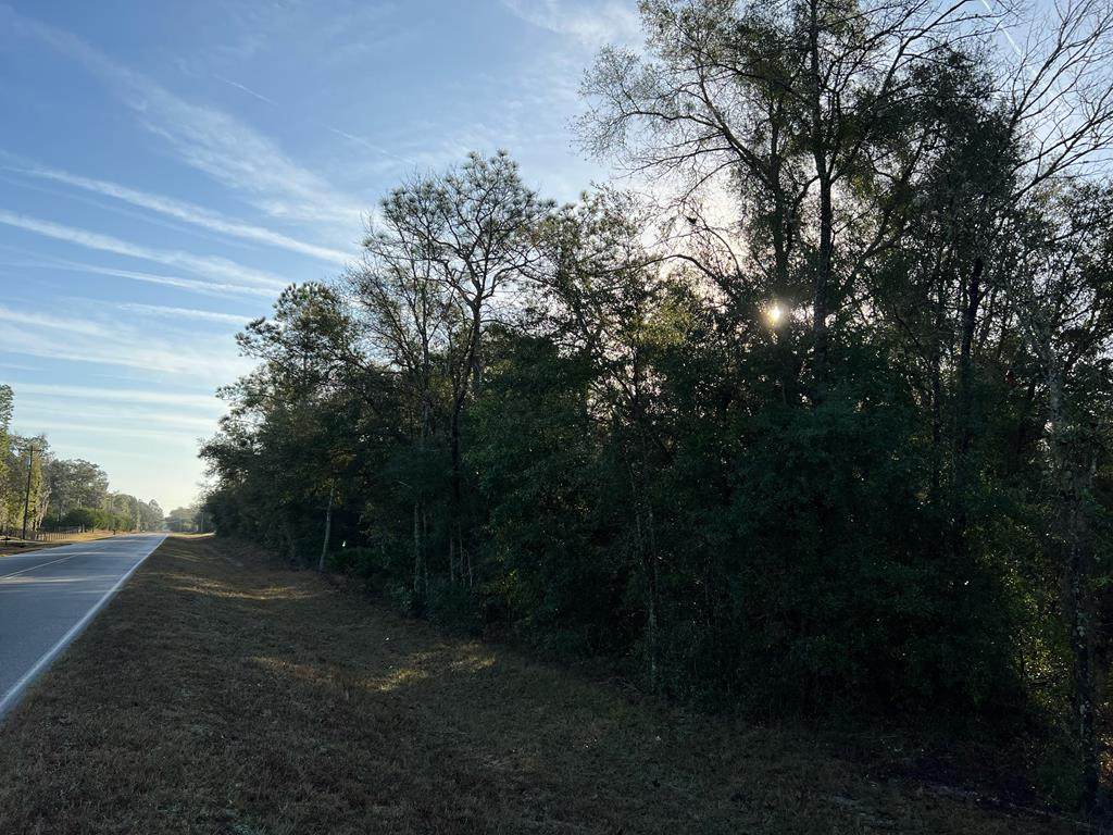 Tract 2 County Road 138 - Photo 1