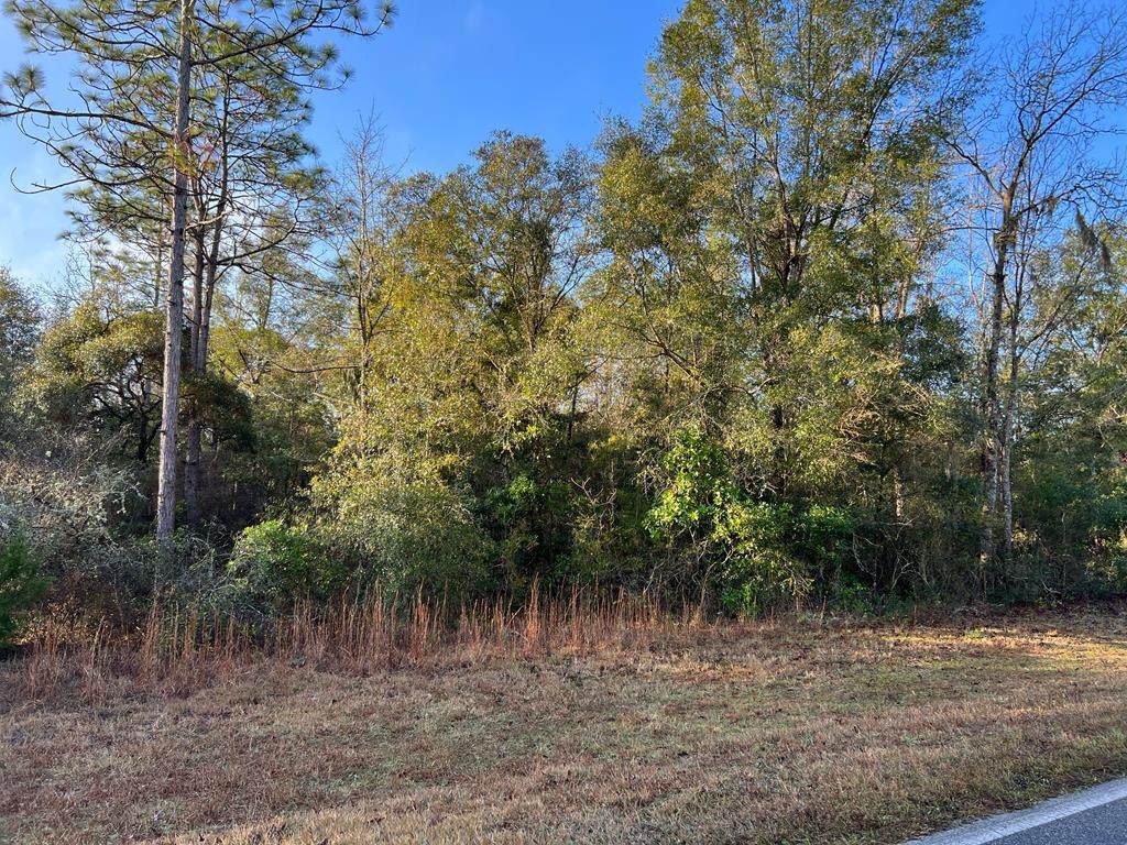 Tract 1 County Road 138 - Photo 1