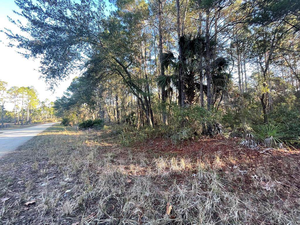 Oak Pond Cir - Photo 1